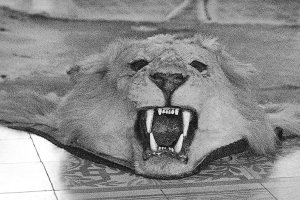 U.S., Cuba assessing efforts to save Hemingway artifacts