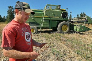 Trendy quinoa sprouts up in Sequim