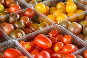 Why tomatoes lose flavor in fridge: their genes chill out