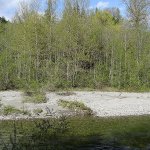 Family sells 33 acres on Stillaguamish River for county park