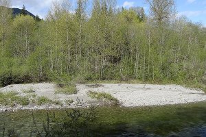 Family sells 33 acres on Stillaguamish River for county park