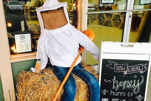 Scarecrows taking over Edmonds in annual autumn contest