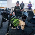 Nick Steffy prompts his service dog, Tina, to find a spot under a desk as he and other area students test out chairs and desks Wednesday at North Creek High School in Bothell. The students tested and graded three different sets of chairs and desks that the Northshore School District may purchase for the new high school. (Andy Bronson / The Herald)