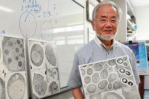 Japanese scientist wins Nobel for study of cell recycling