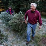 Ian Terry / The Herald Alan Anderson (right), of Tulalip, carries a freshly cut Christmas tree to his car at the Happy Valley Tree Farm in Stanwood on Saturday, Nov. 28, 2015. Photo taken on 11282015
