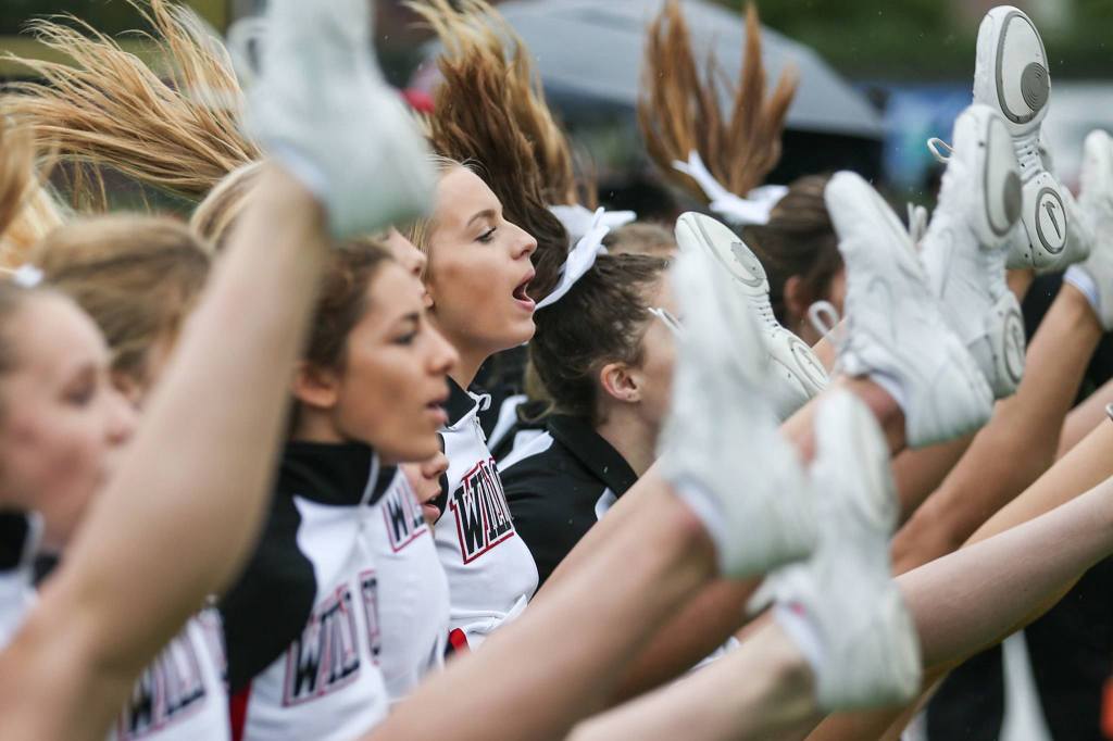Archbishop Murphy&rsquo;s cheerleaders perform Saturday afternoon during the game against Burlington-Edison at Terry Ennis Stadium on November 5, 2016. (Kevin Clark / The Herald)