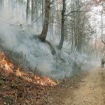 Firefighters walk down a dirt road as a wildfire burns a hillside on Tuesday in Clayton, Georgia. (AP Photo/John Bazemore)