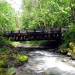 Snohomish County plans to replace Howard Creek Bridge 496 on Index Galena Road, near Index, with construction to start in the spring. The log girders that were placed in 1976 for this 61-foot span have begun to fail. (Contributed photo)