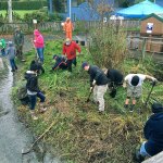 The Snohomish Conservation District was joined by volunteers from North Cascades Crew rowing club as well as other local residents for a work party at Lake Stevens on Oct. 29. Volunteers planted native trees, shrubs and plants, including a rain garden at Lundeen Park and an additional planting along the shoreline at the downtown boat launch. (Contributed photo)