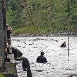 Red Bridge 537 spans the South Fork of the Stillaguamish River on the Mountain Loop Highway east of Verlot. Divers from the Washington State Department of Transportation are set to visit the bridge again in the summer to measure how much the river has eaten away at the earth beneath the bridge piers since the last inspection in summer 2015. (Contributed photo)