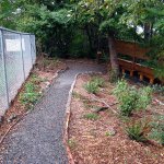 This outdoor learning space at Mukilteo Elementary School used to be overgrown with mountains of blackberry and other invasive weeds. Eagle Scout Jack McManis cleared the area and built the observational bird blind, a few of many projects he&rsquo;s completed that have earned him local and national conservation honors. (Contributed photo)