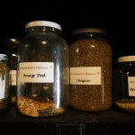 Jars full of olive leaf, orange peel, oregano and oregon grape root line the shelves of Moddejongeճ Herbals in Everett. (Ian Terry / The Herald)