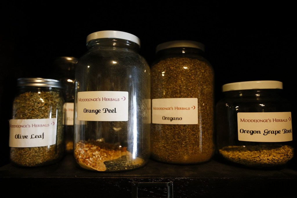 Jars full of olive leaf, orange peel, oregano and oregon grape root line the shelves of Moddejongeճ Herbals in Everett. (Ian Terry / The Herald)