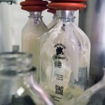 Whole milk is poured into bottles at the Twin Brook Creamery in Lynden. (Andy Bronson / The Herald)