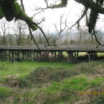 Snohomish County road maintenance crews continue design work for a future replacement of Riley Slough Bridge 155 on Tualco Road near Monroe. Construction is slated for 2019. (Contributed photo)