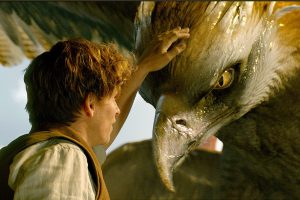Fun, magical beginning for ‘Beasts’ franchise