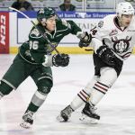 Zwerger has been everything Silvertips expected since trade