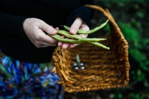 Conservation District honors environmental volunteers
