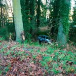 An infant and a child were killed in a Tuesday morning crash on Camano Island. (Washington State Patrol)