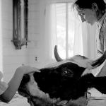 A scene from &ldquo;Eyes of my Mother.&rdquo; (Photo courtesy of Magnet Releasing)