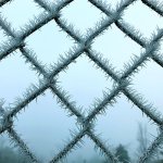 A chain-link fence in Everett early Wednesday. (Chuck Taylor / The Herald)