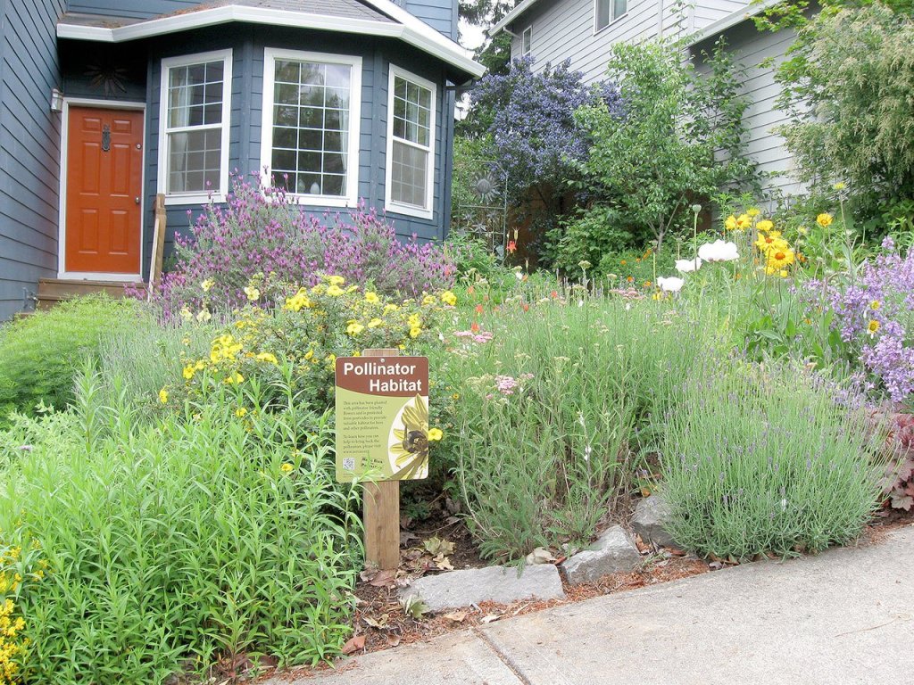 A pollinator front yard. (Photo by Eric Lee-Mäder)