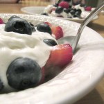 Everett&rsquo;s Karenna Blomberg, 15, took this image of a Fourth of July dessert. Through a National Geographic Kids program, her photo, now on an ornament, is on display this month with nine others at Vice President Joe Biden&rsquo;s residence in Washington, D.C. (Courtesy of Karenna Blomberg)
