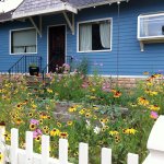 A pollinator garden. (Photo by Eric Mader)