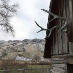 Antlers hang above a doorway of a pioneer building near Dayville, Oregon. Sixty-six percent of the county&rsquo;s 4,529 square miles of forests, mountains and high desert are federal lands, which sometimes puts locals in opposition with federal land managers. (AP Photo/Andrew Selsky)
