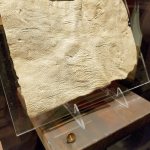 This piece of human skin bears multiple stab and cut wounds, a tool that allowed investigators to study the type of weapon used in the crime. (Christina Okeson / The Herald)