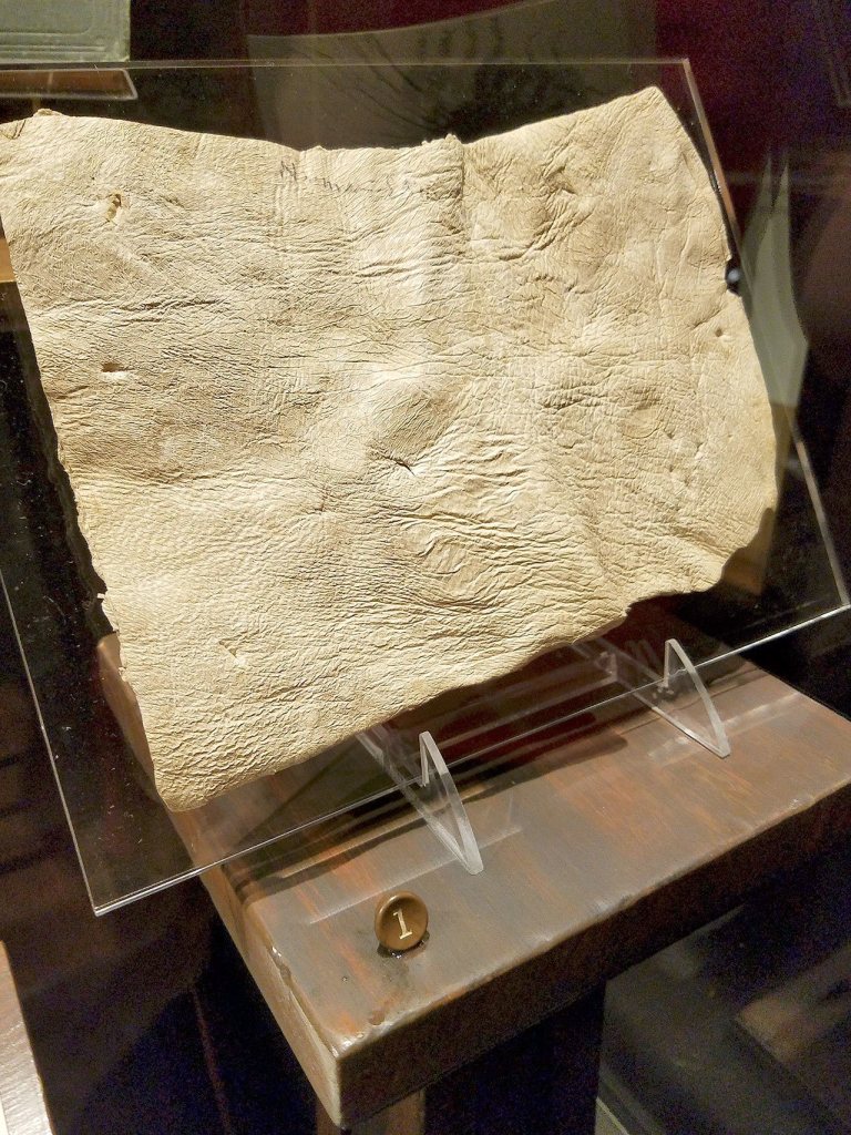 This piece of human skin bears multiple stab and cut wounds, a tool that allowed investigators to study the type of weapon used in the crime. (Christina Okeson / The Herald)