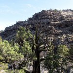 To enjoy hiking the Dry River Canyon requires taking the time to study the rock formations and gnarled junipers. (Dean Guernsey / The Bulletin)