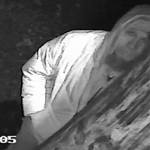 Neighbors at the Mount Index Riversites say people creep through the woods at night, and surveillance video of recent vandalism seems to prove it. (Snohomish County Sheriff&rsquo;s Office)
