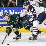 The Silvertips&rsquo; Sean Richards (left) attempts to control the puck with the Americans&rsquo; Jordan Topping defending Wednesday night at Xfinity Arena in Everett. (Kevin Clark / The Herald)
