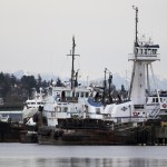 Boats moored on Ballard&rsquo;s waterfront offers up a view of the old days, when the neighborhood&rsquo;s Scandinavian fishing heritage was strong and boutique shops and restaurants were nowhere to be found. (Ian Terry / The Herald)