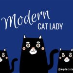 Cat books for every cat-egory at Everett Public Library