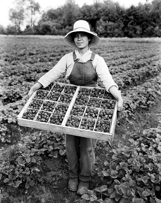 &ldquo;Asian-American strawberry picker, ca. 1919&rdquo; from the Seattle Post-Intelligencer Collection. (Photo courtesy Museum of History and Industry)