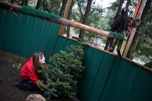 Rescued wildlife get their pens spruced up after holidays