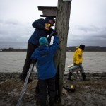Ray Oliver, a volunteer for the Nature Conservancy, drills a bird box into a post at Port Susan Bay during a meet-up to restore bird boxes and gourds to the area on Feb. 13, 2016. The bird boxes will eventually house tree swallows and the gourds will bring in purple martins.