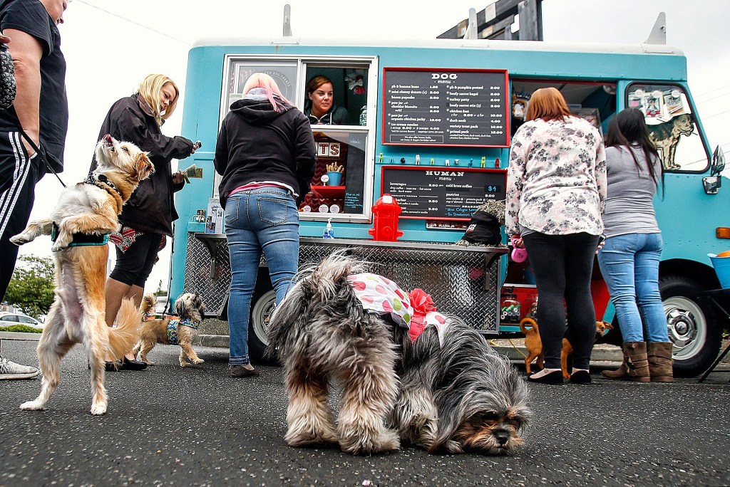 While their best friends sniff around, customers line up at a food truck in the parking lot outside Builders Exchange of Washington, on April 27, where Dawn Ford of The Seattle Barkery sells dog and human treats. Most of the early customers work at Builders Exchange, whose dog-friendly offices permit employees to bring small dogs to work with them. Four of them here are, from left, Doc, Zoey, Cleo and Zeus. (Dan Bates / The Herald)