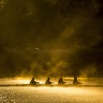 Early morning sunlight glistens off of a misty Lake Stevens on Saturday as members of the Lake Stevens Rowing Club glide across the water during a practice. The club is currently in its 20th year. (Ian Terry / The Herald)