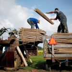 Workers load tobacco stakes onto a tractor at a burley tobacco field in Simpsonville, Kentucky, in 2016. (Luke Sharrett/Bloomberg)