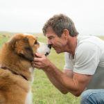 Dennis Quaid is one of the human stars of &ldquo;A Dog&rsquo;s Purpose.&rdquo; (Universal Pictures)