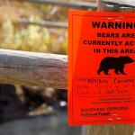 A sign on the fence surrounding Upper Potosi hot springs near Pony, Montana, on Oct. 19 warns of increased bear activity in the area, thanks to a moose carcass that was found nearby earlier that month. (Whitney Bermes/Bozeman Daily Chronicle via AP)