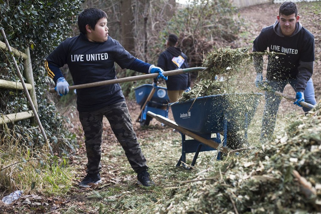 Edwin Duenas, 11, from the YMCA My Achiever Program, shovels mulch into a wheelbarrow during a service day in recognition of MLK Day at Jennings Park on Monday in Marysville. (Daniella Beccaria / The Herald)
