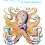 Diving deep on (books about) the intelligence of octopuses