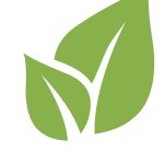 Color of the Year ‘Greenery’ is spring-green hue