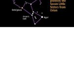 The great winter chase in Everett skies: Orion and his gang