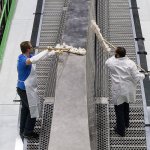 Parts for Boeing 777X will be rolling off lines in Everett soon