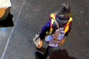Police seeking possible witness to Lynnwood apartment fire